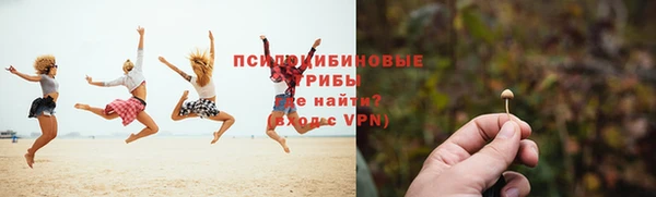 винт Алексеевка