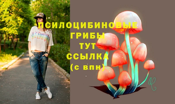 дмт Алзамай