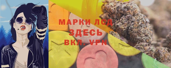 дмт Алзамай